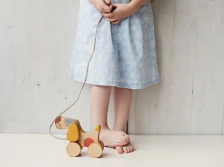 Jucărie din Lemn de Tras - Cățeluș Vesel (Friendly Toys) - Imagine principală