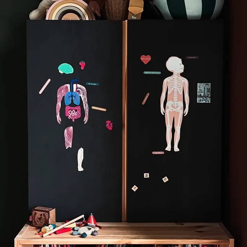 Joc Magnetic "Corpul Uman" ,Ma Cabane à Rêves, 64 magneti