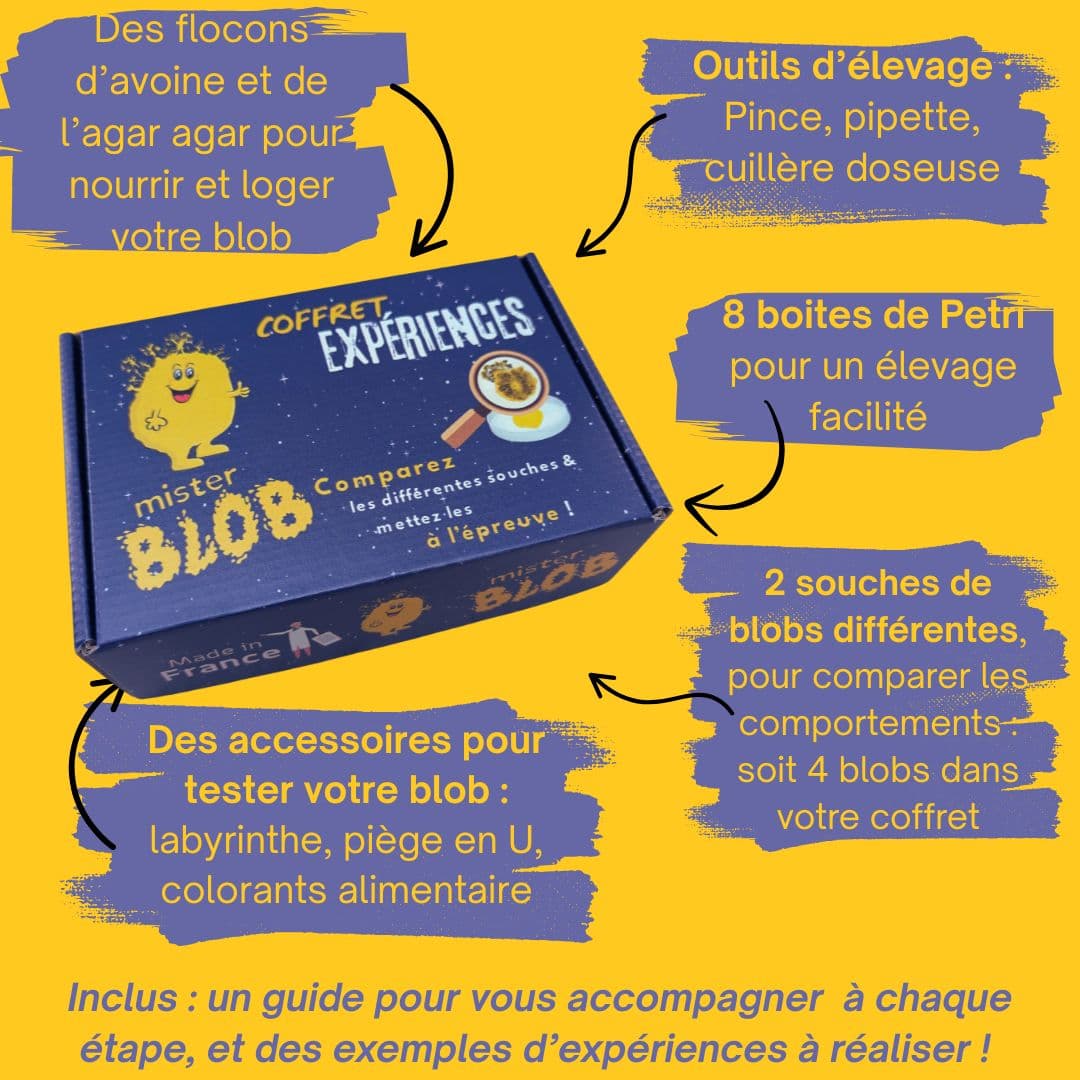 Kit Științific Educațional Crescătorie Blob Experience Box MISTER BLOB - Imaginea 6
